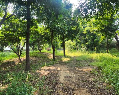 agriculture land deal