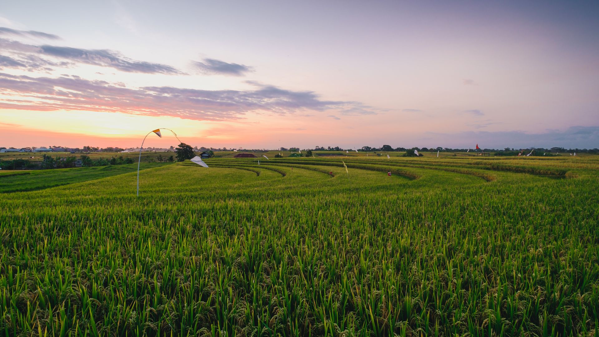 Agricultural Land Investment in Sohna