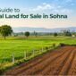 A Buyers Guide to Agricultural Land for Sale in Sohna 85x85