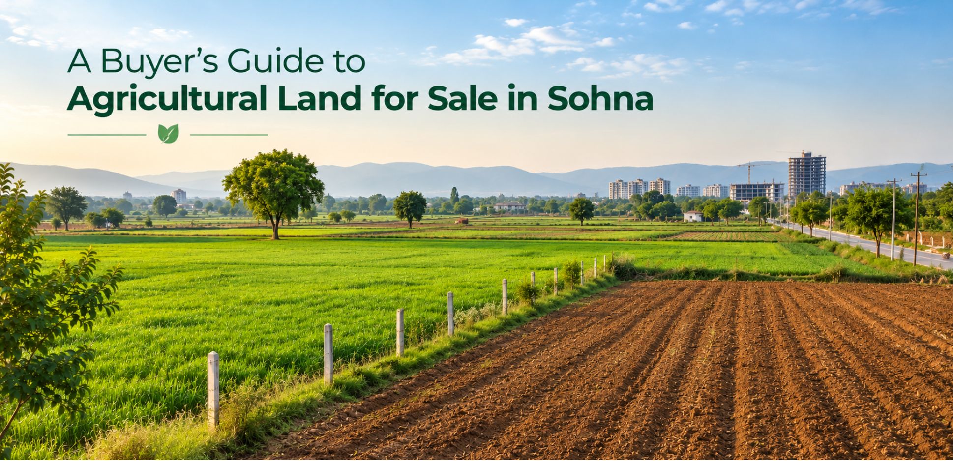 A Buyer’s Guide to Agricultural Land for Sale in Sohna